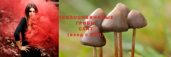 ALPHA-PVP Вязьма