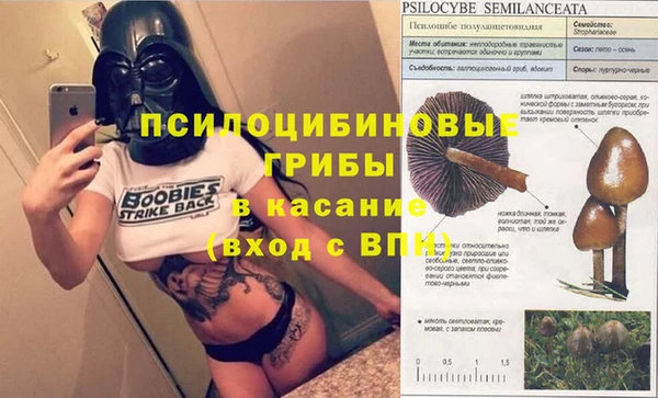 ALPHA-PVP Вязьма
