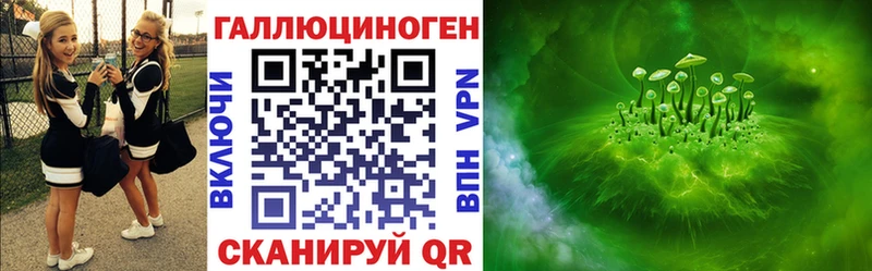 наркота Дрезна Псилоцибиновые грибы Psilocybine cubensis